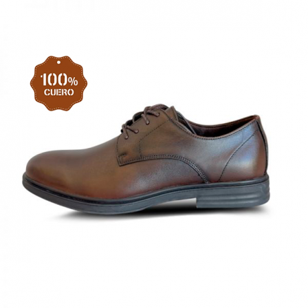 CALZADO FORUM ASHFORD-245CH